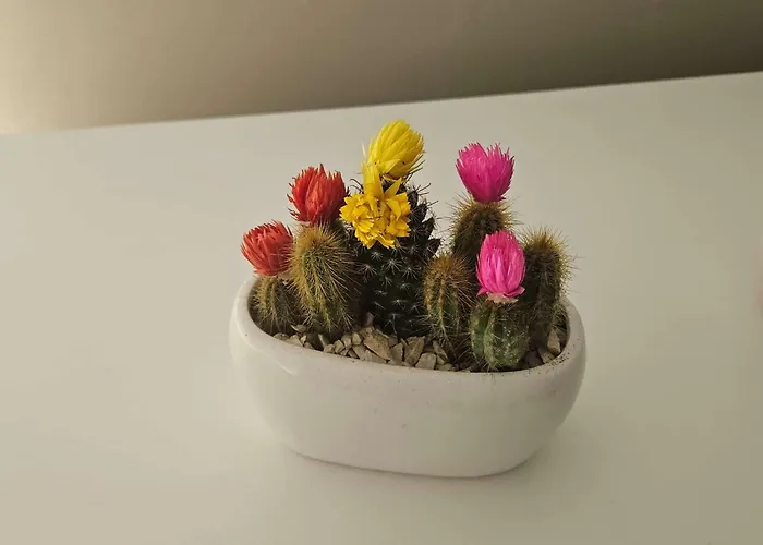 Maca House 2 Apartment *