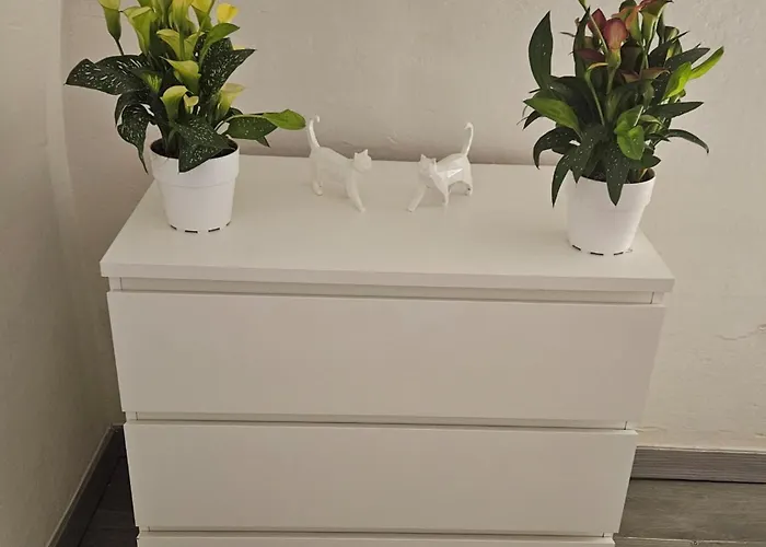 Apartment Maca House 2