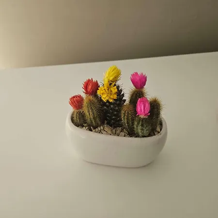 Maca House 2 Apartament *